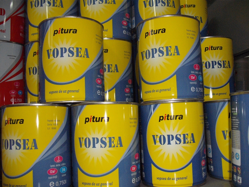 Vopsele, lacuri, soluții antirugină și alte accesorii